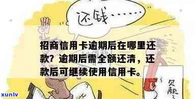 招商信用卡逾期还款攻略：如何及时还清？