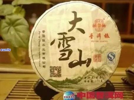 大雪山普洱茶饼全方位解析：价格、品质与功效一应俱全！