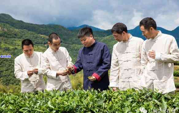 福鼎市鼎茶厂：传统茶叶工艺与现代科技相结合的创新领导者