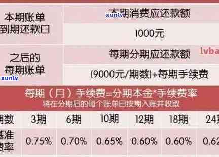 信用卡逾期还款次数的影响及其解决方案，全面解答用户疑问