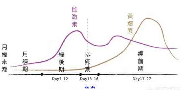 经期第四天：普洱茶的健益处及其在月经周期中的作用