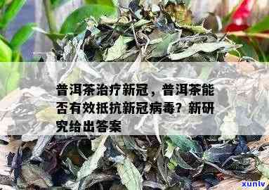 普洱茶的抗病功效：如何帮助预防和缓解新型病感染？