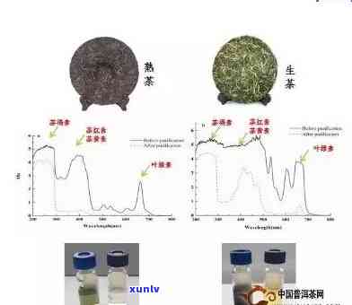 饮用普洱茶对青光眼患者的影响：安全性与有效性的综合分析