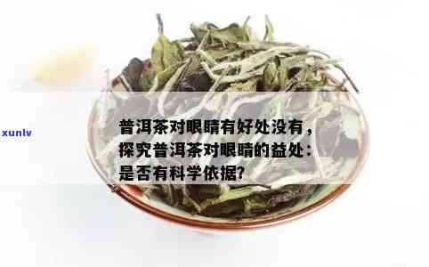 饮用普洱茶对青光眼患者的影响：安全性与有效性的综合分析