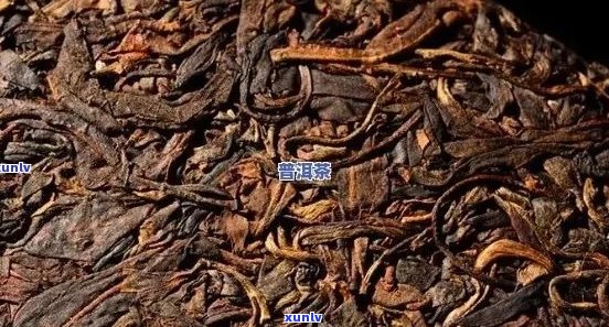 普洱茶五年陈以上的价格范围及品质特点全面解析