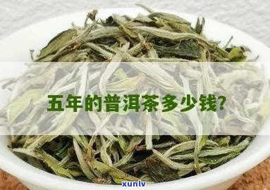 普洱茶五年的值钱吗？能喝吗？价格多少钱？