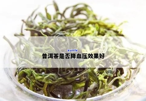 普洱茶能不能降血压