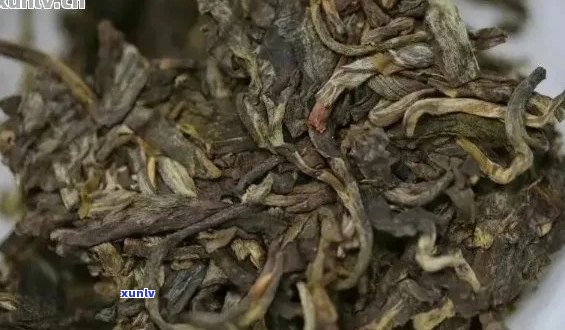 普洱茶拼配的种类及其口感特点解析