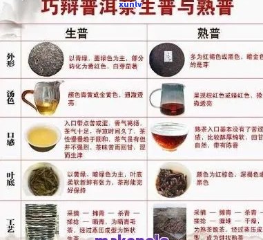 普洱茶拼配的种类及其口感特点解析