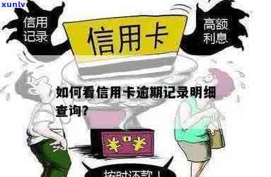 如何查询信用卡逾期记录？