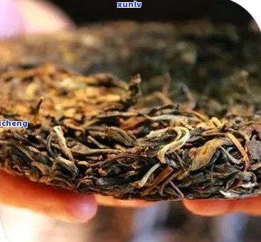 '鑫群普洱茶怎么样好喝吗？价格是多少？'