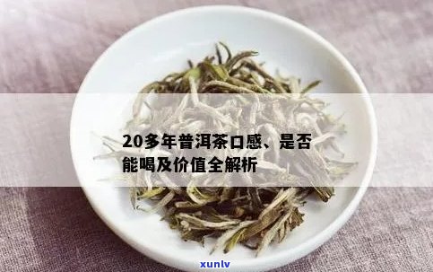 二十年生普洱什么口感：探究其药用价值与品饮体验