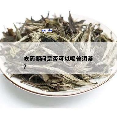 非布司他能喝普洱茶