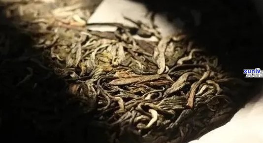 普洱茶存及保质时间：多久不变质？多长时间饮用？