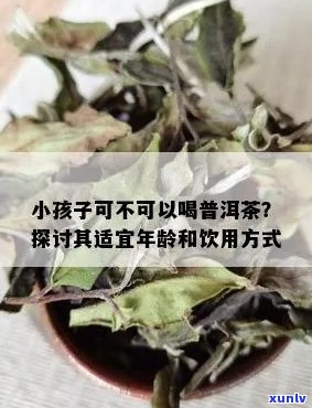 普洱茶对儿的影响：小孩儿可以喝普洱茶吗？答案在这里！