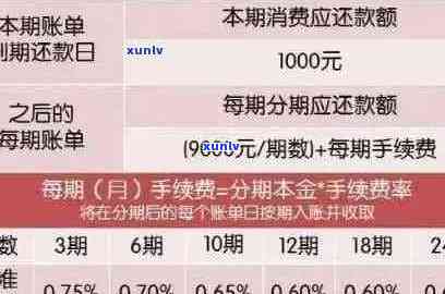 逾期半年未偿还1万信用卡债务：原因与解决策略