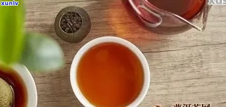 普洱茶饮用时间与节：何时喝普洱茶效果？