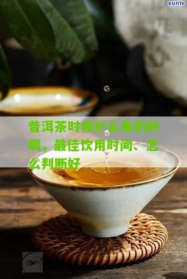 什么时间喝普洱茶