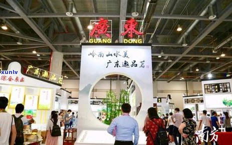 名贵茶叶品类一览表：全面解析各的价格、特色和口感