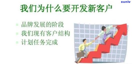 探究批发十几元普洱茶的真相：质量、来源与性价比全解析