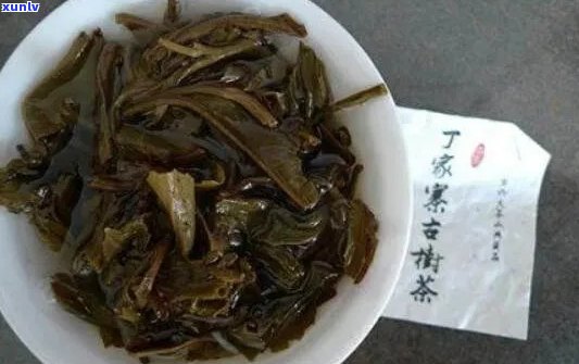 丁家寨古树茶价格：多少钱一斤？