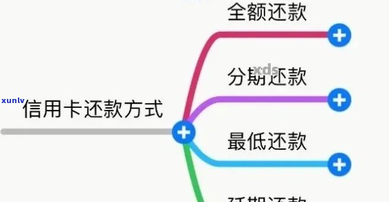 逾期信用卡还款查询：详细步骤及常见陷阱解析