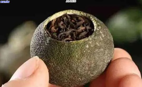 新 '寒冷环境下的普洱茶：小青柑是否能应对？'