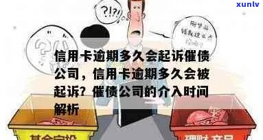 翡翠吊坠：福瓜与葫芦的比较与选择