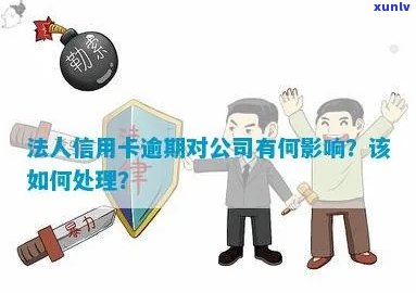 逾期信用记录对法人资格的影响及其解决方案：注册公司的关键要素