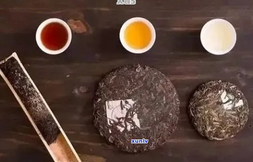 普洱茶的神奇魔力：解饿又提神，你不可不知的健秘诀！