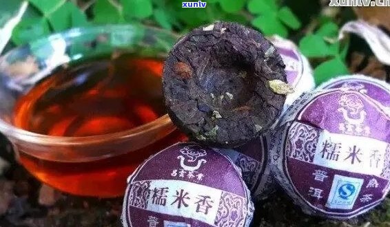 普洱茶糯香味的来源与特点：探究普洱茶中的糯米香及其他香料成分。