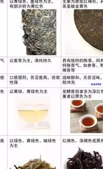 白茶普洱茶：区别、优劣、红茶差异，品味及功效探究