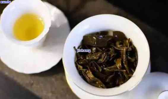 白茶和普洱茶：哪个更适合你的口味？如何选择与品鉴两种茶叶的技巧解析