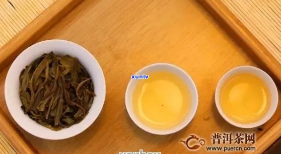 了解白茶、普洱茶的特点及区别：品茶艺术与鉴技巧