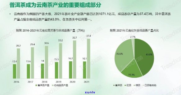 云南省普洱茶产量统计：2023年总产量及相关数据分析