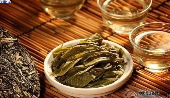 哪里的普洱茶好一些呢？ 优质普洱茶叶推荐