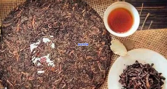 优质普洱茶的选之地：哪里的普洱茶品质？