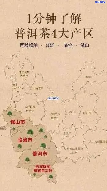 云南普洱茶：全球的乌龙茶产地及其独特魅力