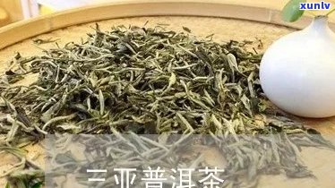 三亚品质好的普洱茶