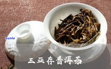 三亚品质好的普洱茶