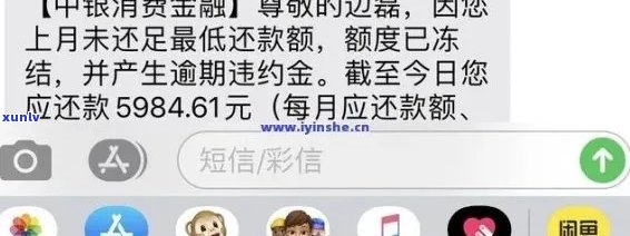 中银速通信用卡逾期