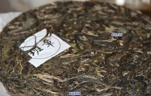 云南普洱茶饼：十年陈化品质与市场价值分析