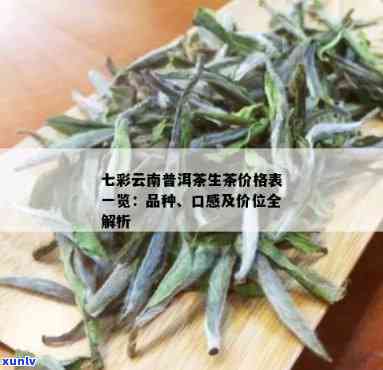 云南古树茶七彩口感与品质评价