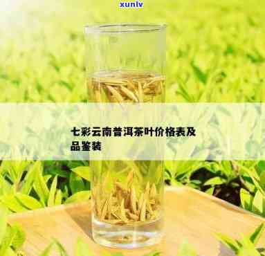 云南古树茶七彩口感与品质评价