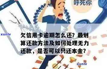 信用卡逾期还款方案：家人是否能成为分期付款的受益人？