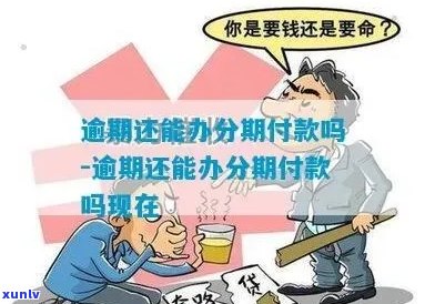 逾期款项如何实现分期付款？