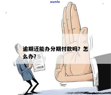 逾期款项如何实现分期付款？