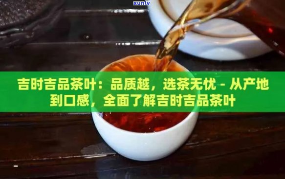 吉良古树纯料普洱茶：品质越，品饮体验非凡