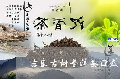 吉良古树纯料普洱茶：品质越，品饮体验非凡