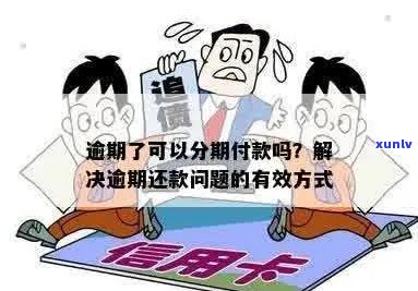 逾期了如何办理分期付款？分期付款的相关规定和流程是什么？